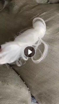 白色PBT废丝，大量出售