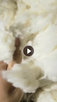 出售纯棉车肚含5%粘胶，大量现货