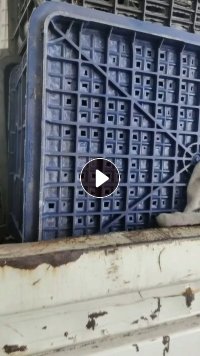 出售黑，蓝，白水果筐破碎料，月供30吨