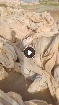 地膜无纺布，出售