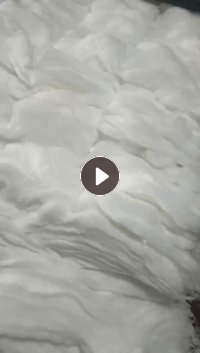 开花小白棉，白色开花棉，出售