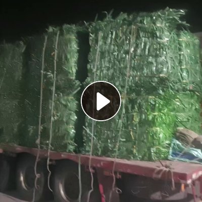 长期回收PET打包带，绿色，黑色压包，要求干净无杂