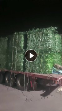 长期回收PET打包带,绿色,黑色压包,要求干净无杂