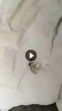 出售无纺布边角料，现货4吨