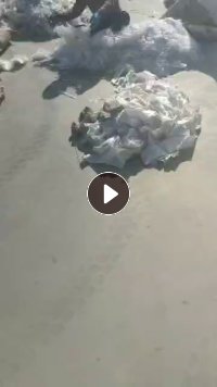 回收消防水带  涤纶废丝开花用