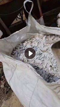 PP洗衣机破碎料长期大量出售，干粉大白二白混破的，现货200-300吨 