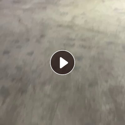 长期出售牛皮纸浆，含水68左右