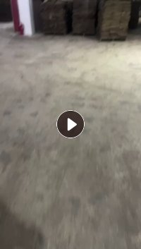 长期出售牛皮纸浆，含水68左右