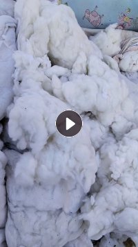 出售丝绵枕芯棉9.6米一车，每天下来10吨！