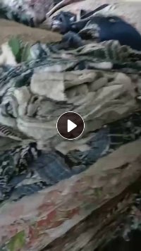 夹丝绵，压包好，出售