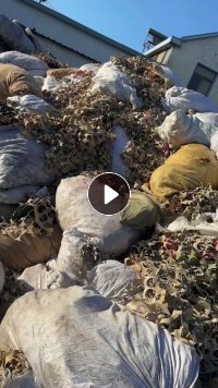 江苏附近大量收购网球边角料网球内胆