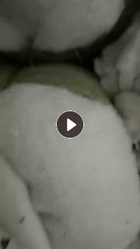 睡衣棉，丝绵边料，出售