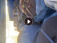 盘料，涤纶布条，打绳料，出售