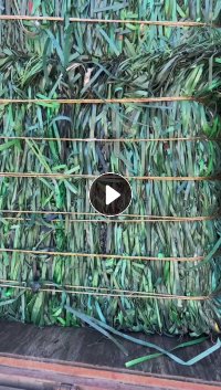 回收PET打包带，绿色聚酯打包带，黑色打包带