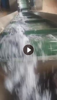 长期收购PVC蓝皮丝蓝皮粉，月需2000多吨 