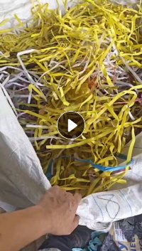 出售PP打包带，杂色，现货20多吨