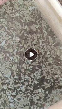 长期出售PP蚕蛹筐破碎料，月供几十吨，全漂的 