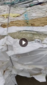 长期出售不干胶废纸，带膜，纯纸都有