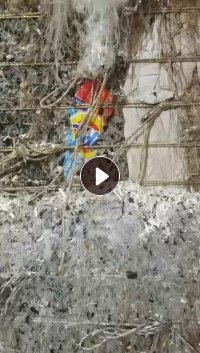 出售电子载带挑拣出来的杂膜料，可炼油，现货13米一挂，每月2车