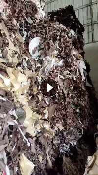 出售废杂纸，现货20吨