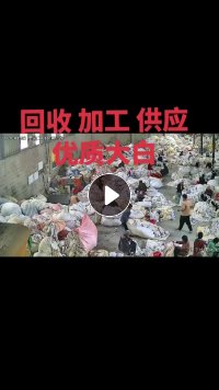 长期供应剪好的优质大白料，现货几十吨，山东临沂提货!