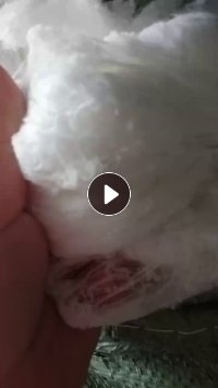 出售丝棉，无纺布，化纤，氨纶，纯白