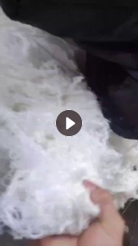 出售化纤，氨纶，氨纶干丝，造粒