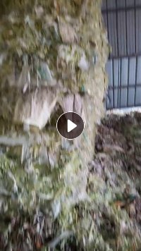 出售纸厂下来的PET杂膜，3天一挂车