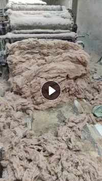 长期出售驼色二白棉