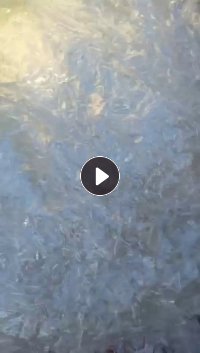 长期出售淋膜纸上撕下来的PVC膜，现货5吨左右