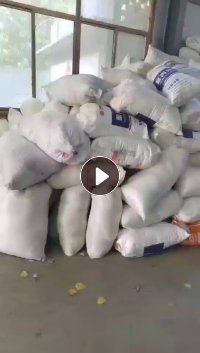 长期大量出售涤纶弹丝，废丝  开刀丝，开花用