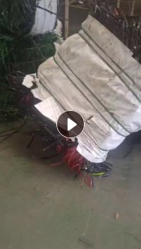 长期出售聚酯打包带毛料