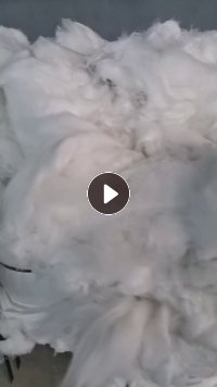 出售涤棉,黏胶棉,白色,现货几吨,长期有货