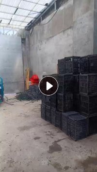 出售蓝白黑水果筐颗粒，月供20吨