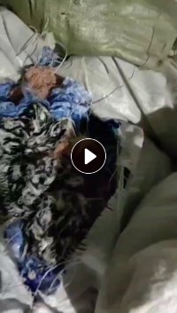 长期出售褪色边纱，现货十来吨， 江苏南通提货