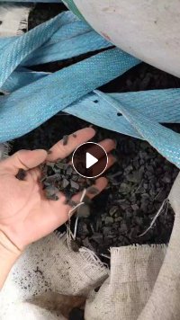 出售pp水果款破碎料黑色，白色，现货量15吨