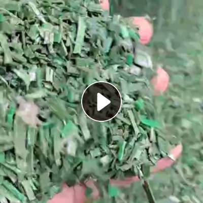 大量出售绿色pet打包带破碎料，黑色PET打包带破碎料