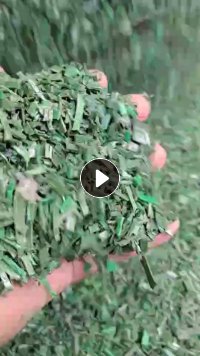大量出售绿色pet打包带破碎料,黑色PET打包带破碎料