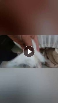 出售绗棉下脚料，棉是羊毛的