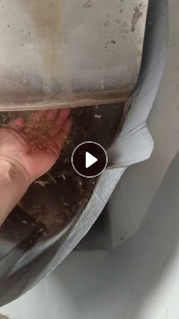 出售EPS颗粒，月供100吨