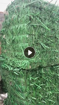 长期大量回收PET打包带毛料