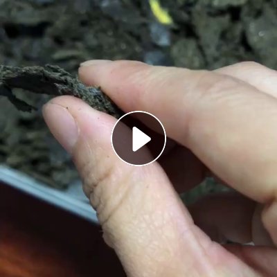 出售拆解下来的机油滤芯纸，压完油的