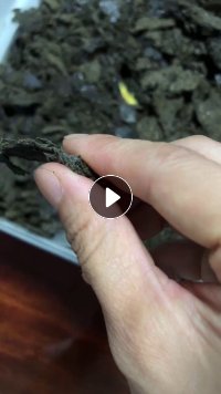 出售拆解下来的机油滤芯纸，压完油的