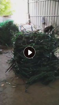 出售干粉pet打包带破碎料，一个月80吨