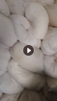 长期大量出售酒店布草，白色床单被罩，毛巾，浴巾，现货几十吨