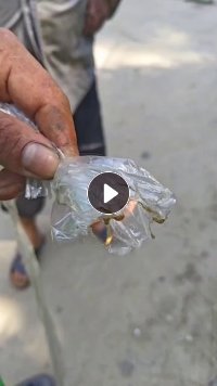 出售汽车面板复合膜，厂货，月供十几吨