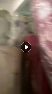 出售厂包布，，各种颜色都有，门幅3.2米，货在广东