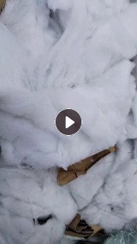 出售丝绵，废旧丝绵，白色，现货20吨