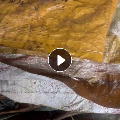 出售金属油编织袋，有含铝、铜、不锈钢、铁，每种都是分开打包的，炼油用，月供几百吨