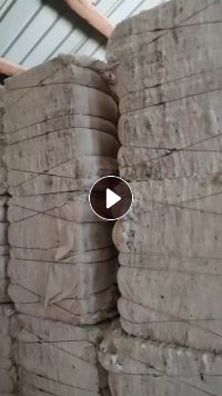 出售新疆棉  火烧皮棉，现货56吨